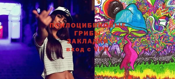 амф Богданович