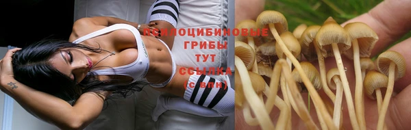 амф Богданович