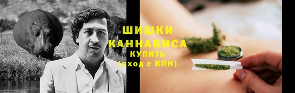 амф Богданович