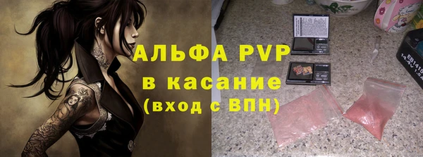 амф Богданович