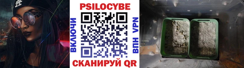 мега   Новохопёрск  Псилоцибиновые грибы MAGIC MUSHROOMS  как найти закладки 